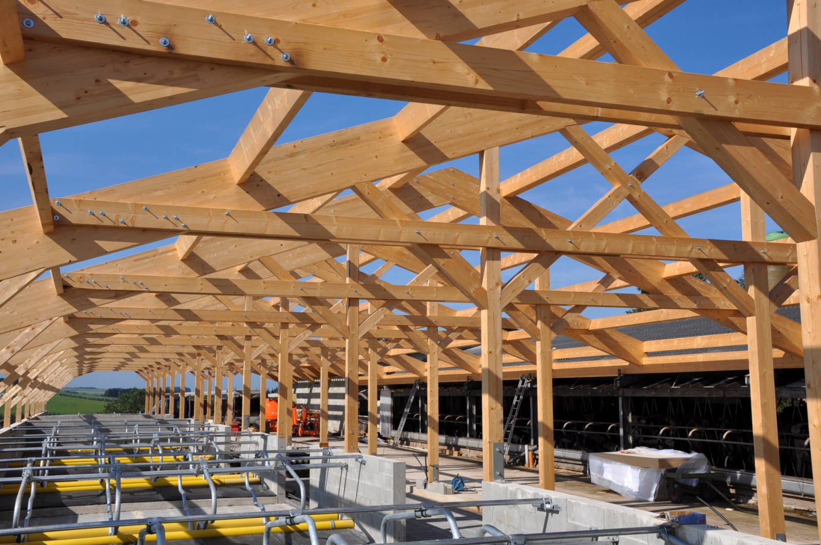 Tranen faillissement Installatie Hallen met houten structuur | Hedach AG - Houtconstructies voor dak en wand